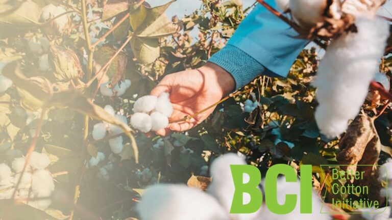 better cotton initiative | Brato